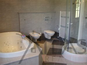 Bathroom - For Rent: 9 BD villa Prague 6 - Nebusice