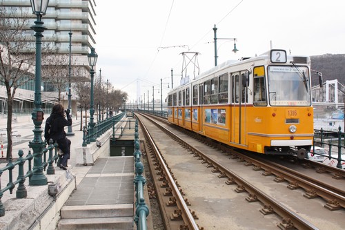 Genetika, výzkum, chirurgie, nadační fond , Praha IČO 24204129