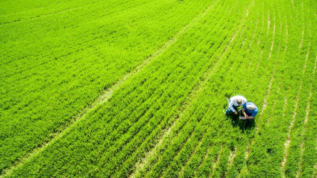 S odvoláním na obavy z Číny státy zvažují omezení zahraničního vlastnictví zemědělské půdy
